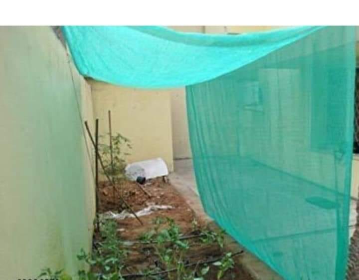 using green net for plants in summer