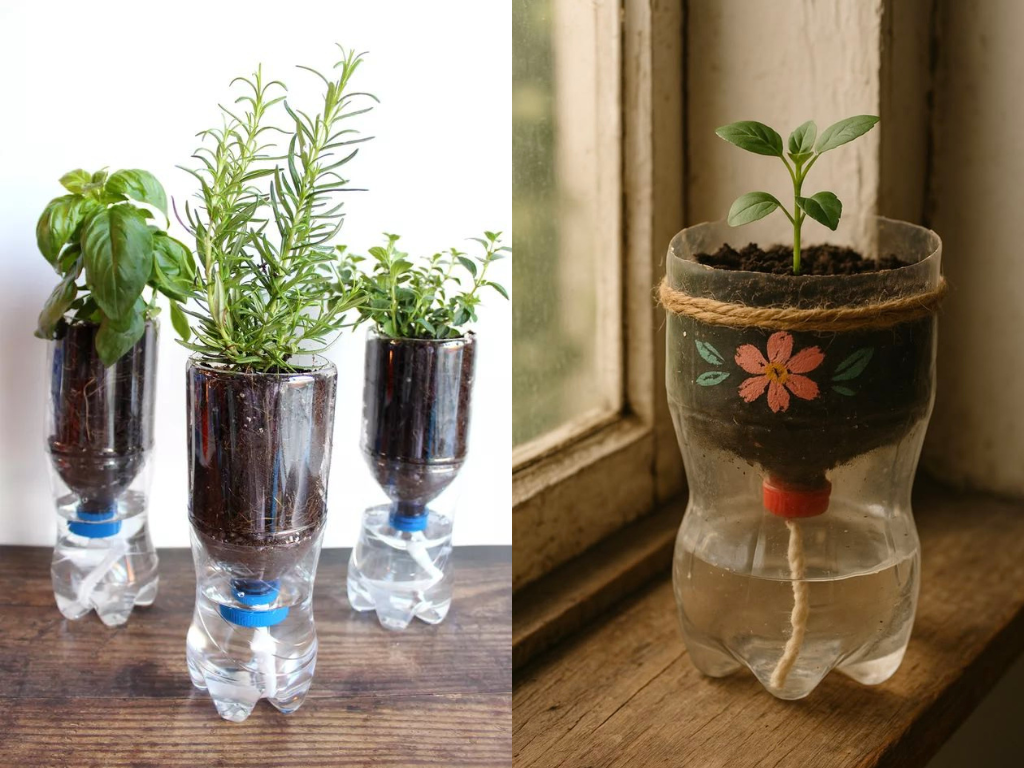 How to keep plants alive during vacation using DIY self-watering plastic bottle planters