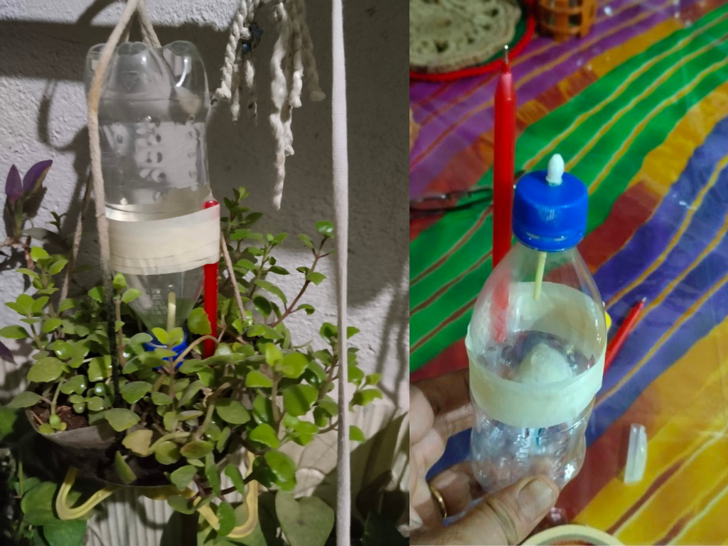 How to keep plants alive during vacation with a homemade plastic bottle drip irrigation system