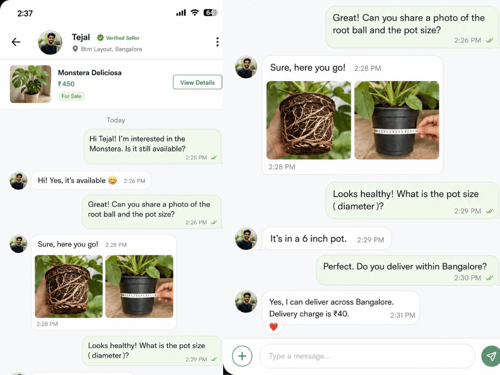 Online plants near me in Bangalore — in-app chat with verified seller before buying